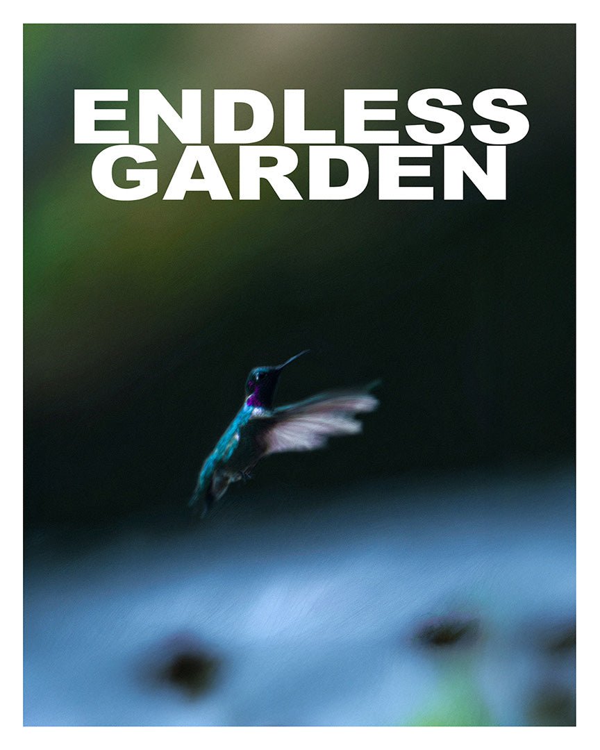 Endless Garden | Print & Frame - Oakmaat - Art Prints